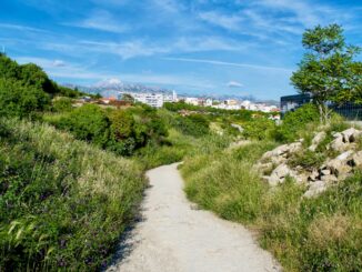 découvrez la signification profonde du désir, une force puissante qui motive nos actions et nourrit nos passions.