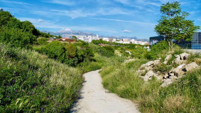 découvrez la signification profonde du désir, une force puissante qui motive nos actions et nourrit nos passions.