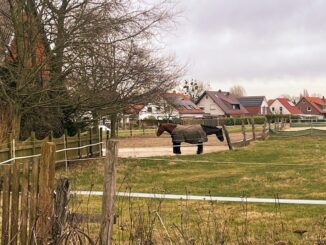 découvrez les idées fausses courantes et apprenez à les déconstruire grâce à notre analyse approfondie des misconceptions.