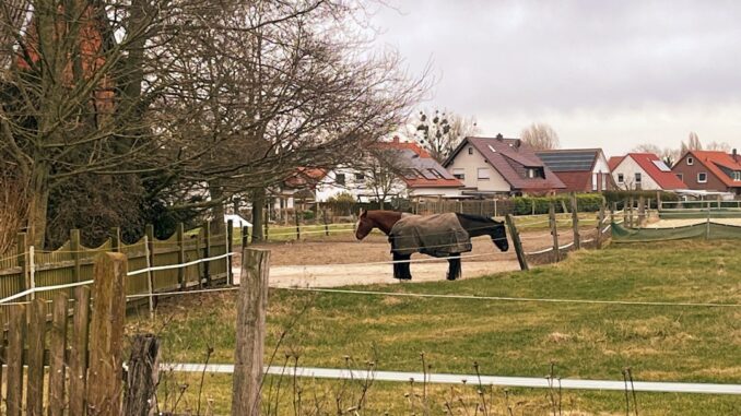 découvrez les idées fausses courantes et apprenez à les déconstruire grâce à notre analyse approfondie des misconceptions.