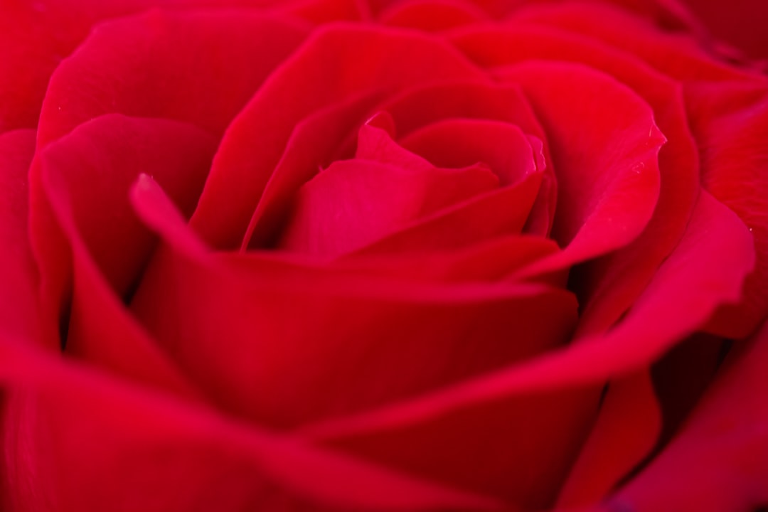 découvrez l'émotion intense du coup de foudre avec 'love at first sight', une histoire captivante d'amour instantané qui bouleverse les cœurs et change des vies.