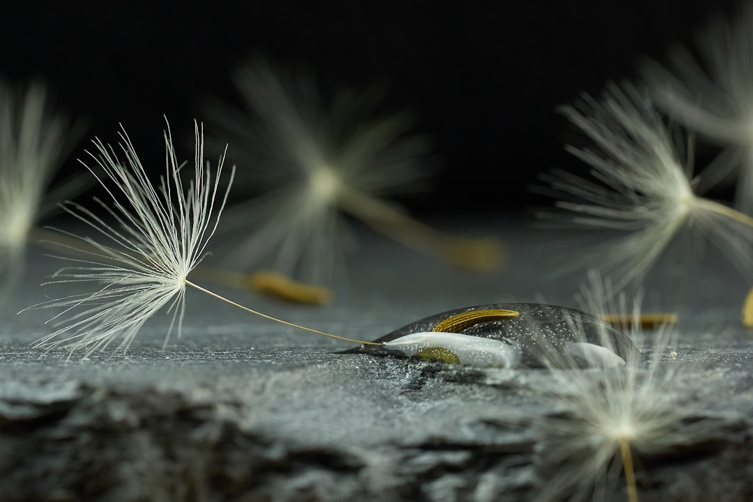 découvrez un nouveau départ inspirant pour transformer votre vie et accueillir de nouvelles opportunités.