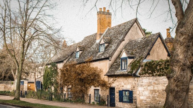 découvrez le charme unique de nos offres exclusives, pensées pour ajouter une touche d'élégance et de douceur à votre quotidien.