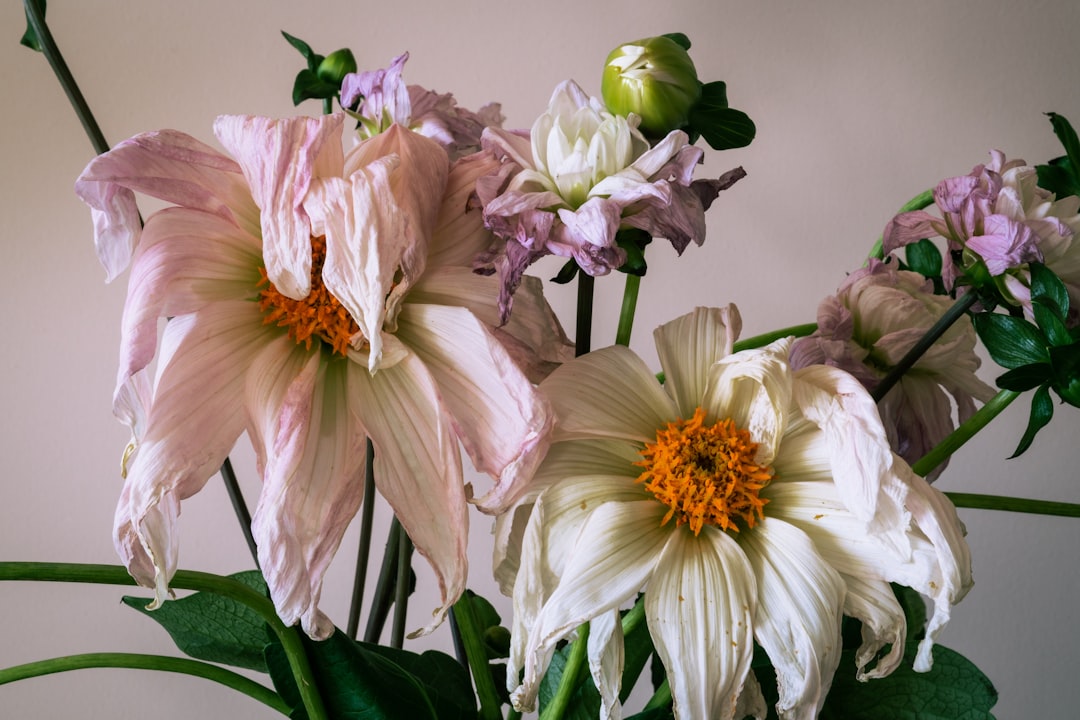 découvrez tout sur les exes : conseils, histoires et astuces pour tourner la page et avancer sereinement après une rupture.