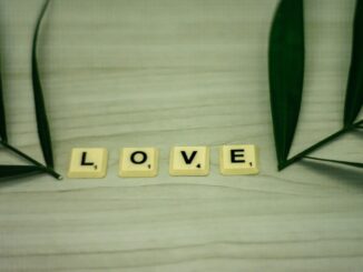 découvrez les qualités essentielles pour un amour durable et épanoui, bâtir une relation solide basée sur la confiance, le respect et la complicité.