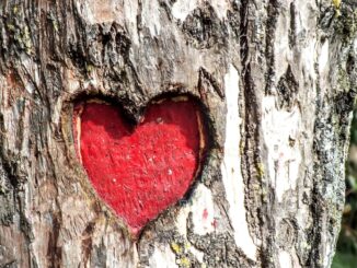 découvrez la passion, une force intérieure qui inspire, motive et transforme chaque aspect de votre vie.