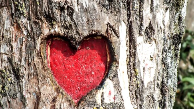 découvrez la passion, une force intérieure qui inspire, motive et transforme chaque aspect de votre vie.